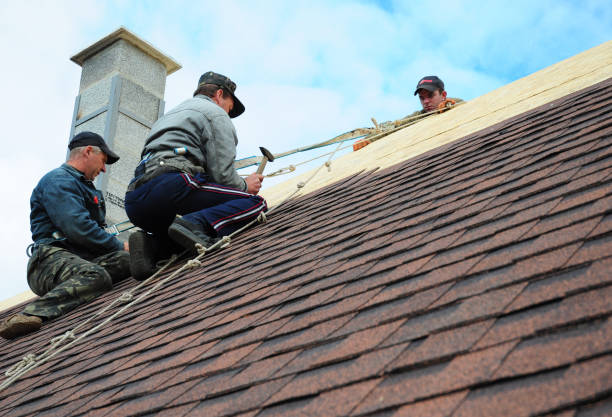 Best Metal Roofing Contractor  in Larch Y, WA